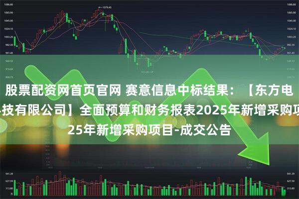 股票配资网首页官网 赛意信息中标结果：【东方电气集团数字科技有限公司】全面预算和财务报表2025年新增采购项目-成交公告