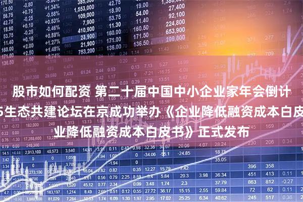 股市如何配资 第二十届中国中小企业家年会倒计时活动暨2025生态共建论坛在京成功举办《企业降低融资成本白皮书》正式发布