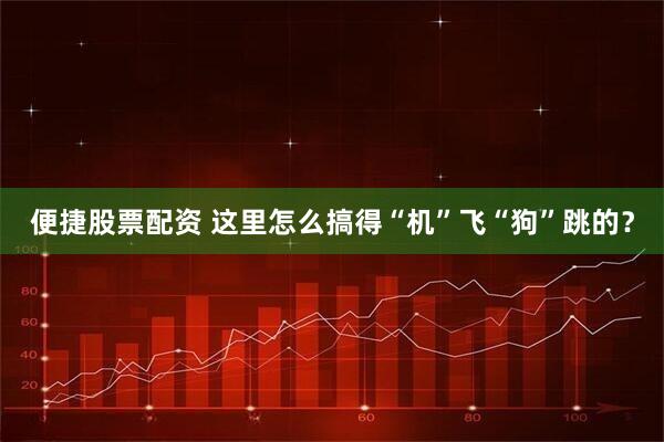 便捷股票配资 这里怎么搞得“机”飞“狗”跳的？